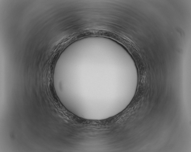 X0000114091014200910051205