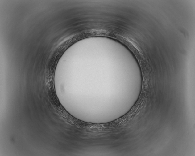 X0000114091015200910051205