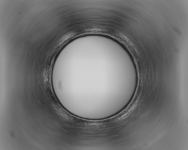 X0000114091017200910051205
