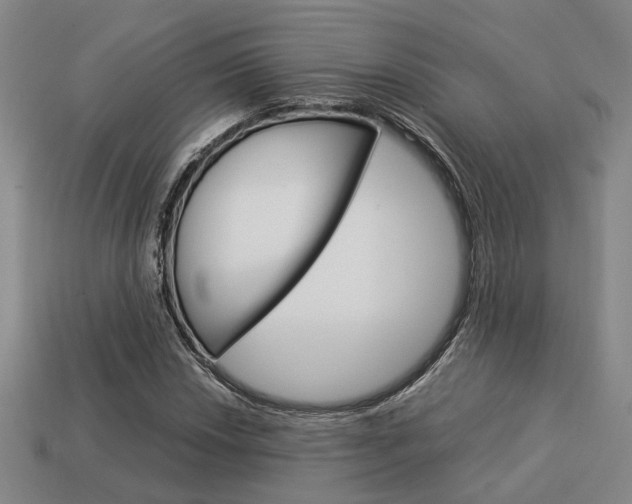 X0000114091018200910051205