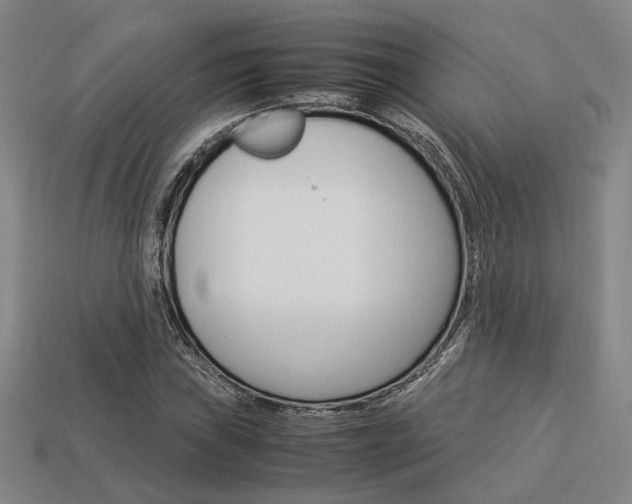 X0000114091019200910051205