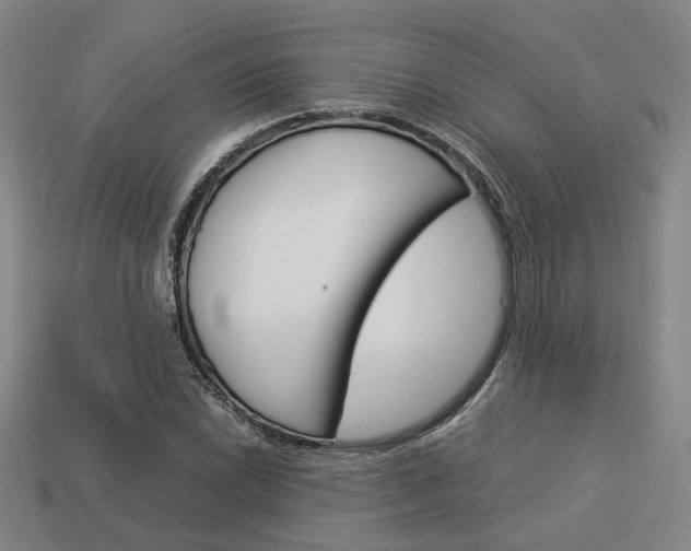 X0000114091022200910051205