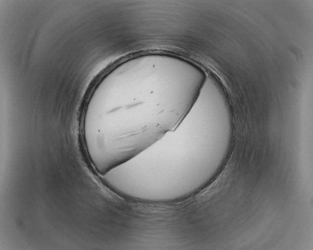 X0000114091024200910051205
