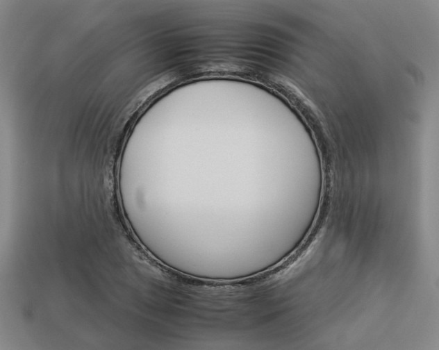X0000114091025200910051205