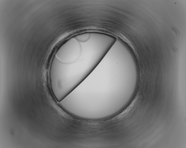 X0000114091029200910051205