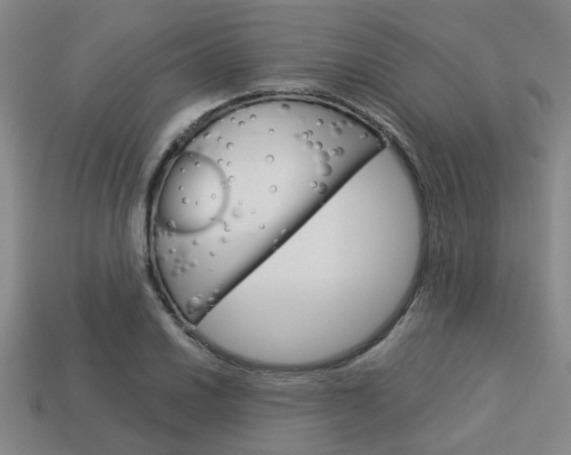 X0000114091030200910051205