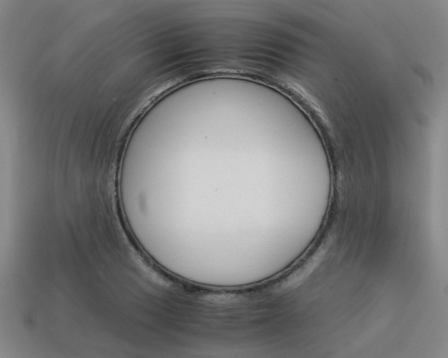 X0000114091033200910051206