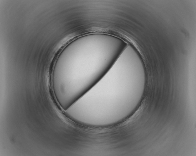 X0000114091034200910051206