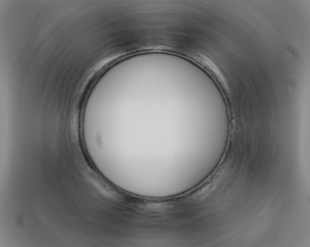 X0000114091035200910051206