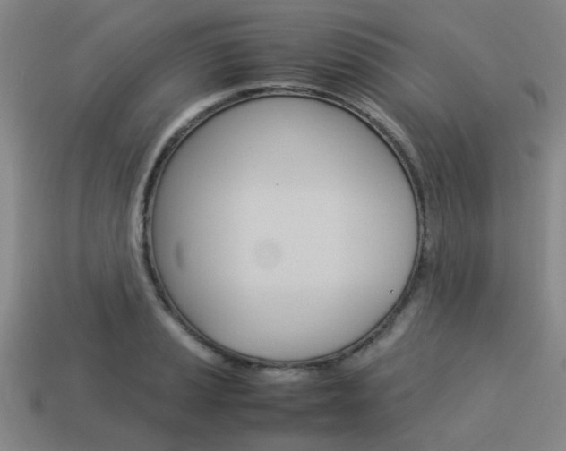 X0000114091037200910051206