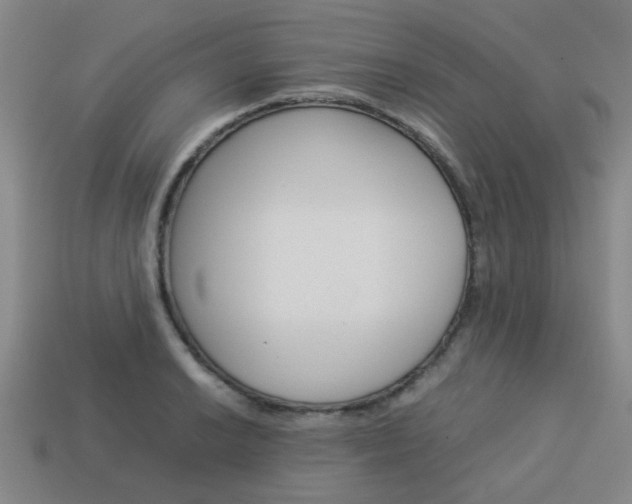 X0000114091038200910051206