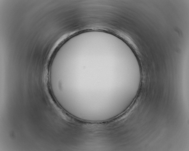 X0000114091040200910051206