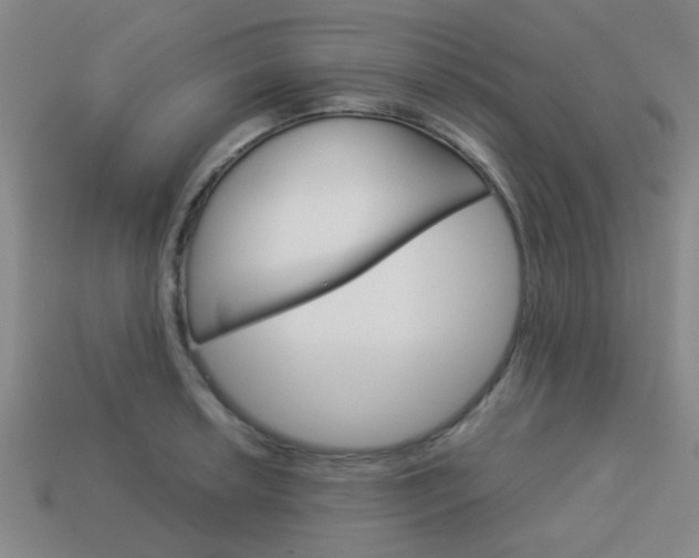 X0000114091042200910051206