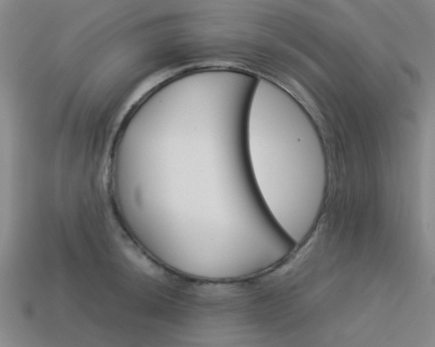 X0000114091044200910051206