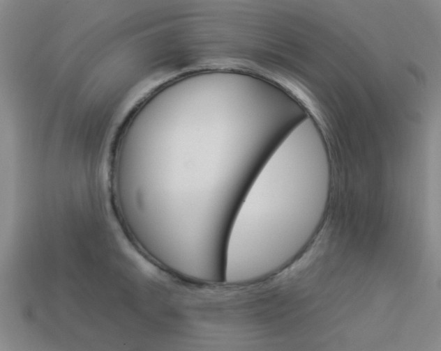 X0000114091046200910051206