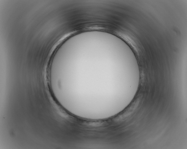 X0000114091047200910051206