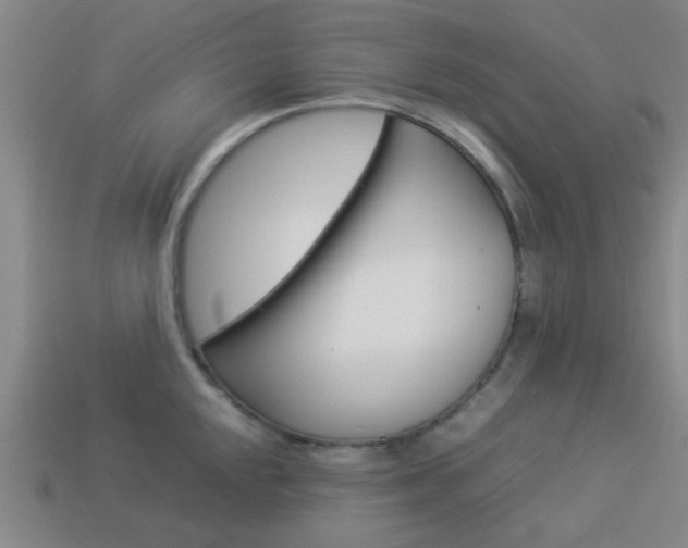 X0000114091048200910051206