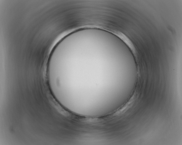 X0000114091052200910051206
