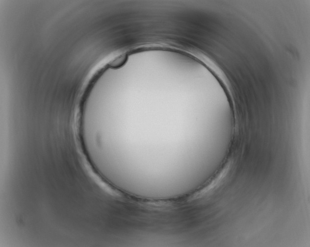 X0000114091053200910051206
