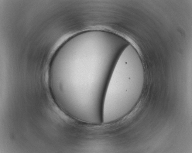 X0000114091054200910051206