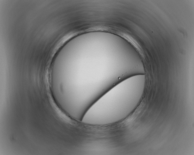 X0000114091055200910051206