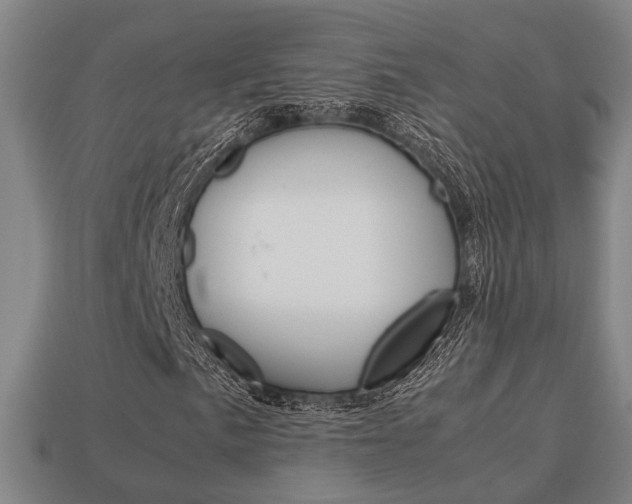 X0000114091057200910051205