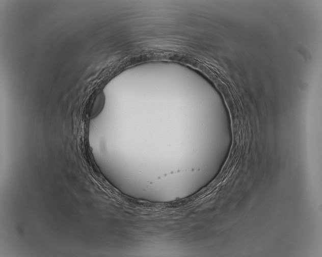 X0000114091061200910051205
