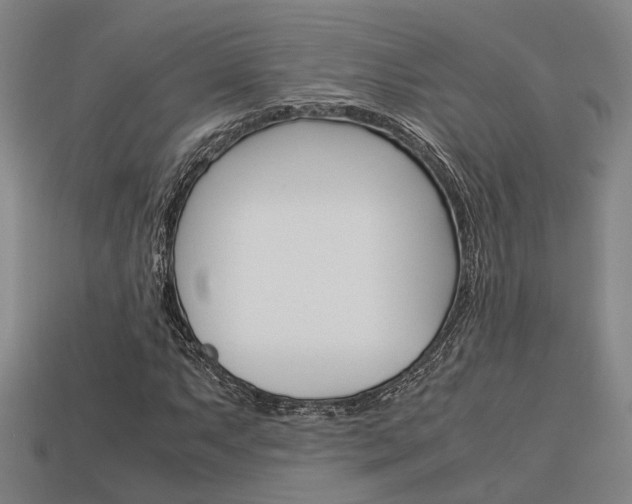 X0000114091063200910051205