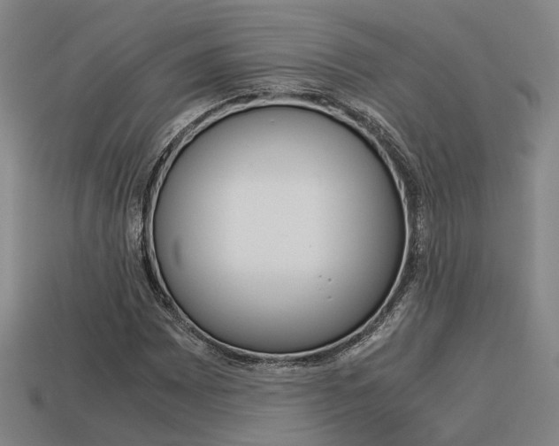 X0000114091065200910051205
