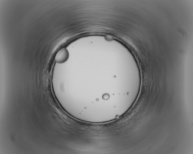 X0000114091067200910051205