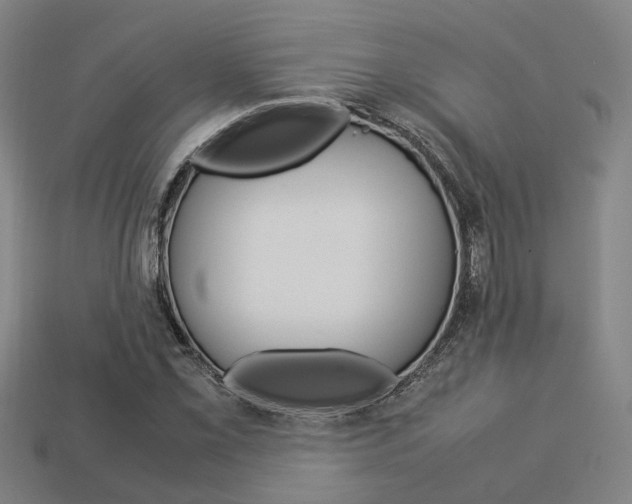 X0000114091069200910051205