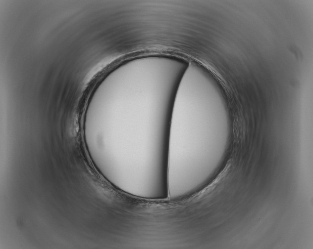X0000114091070200910051205