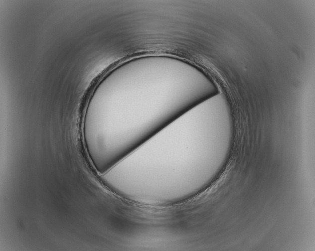 X0000114091071200910051205