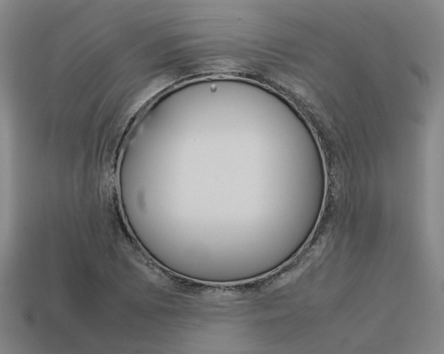 X0000114091073200910051205