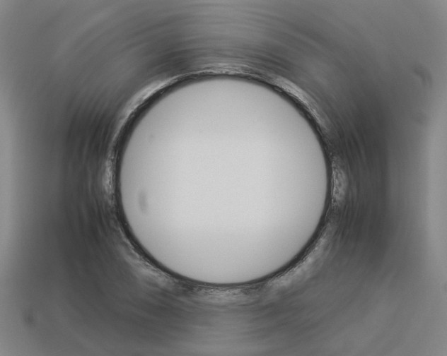 X0000114091074200910051205