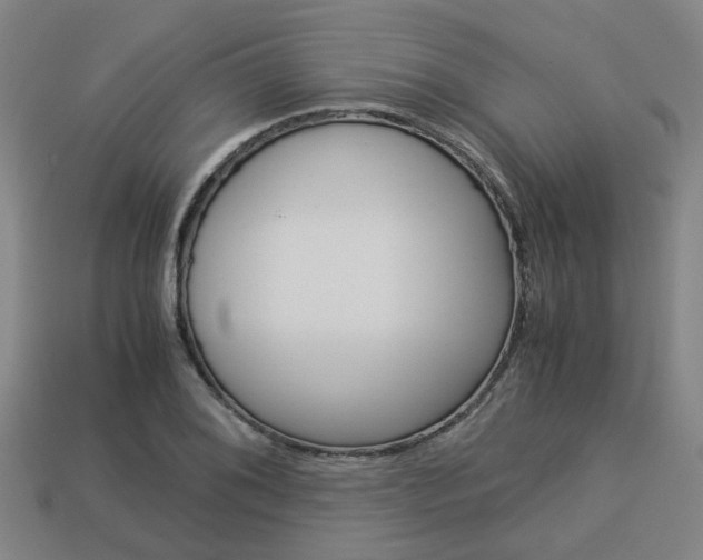 X0000114091076200910051205