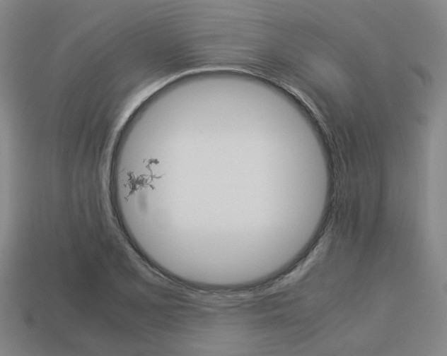 X0000114091077200910051205