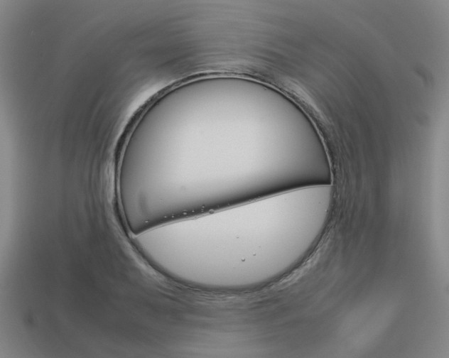 X0000114091079200910051205