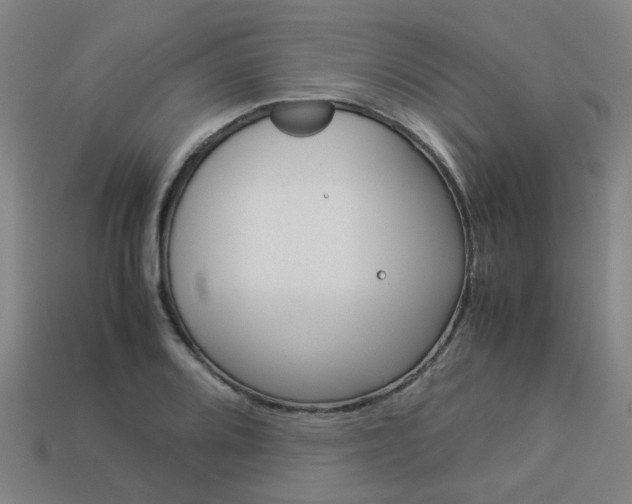 X0000114091080200910051205