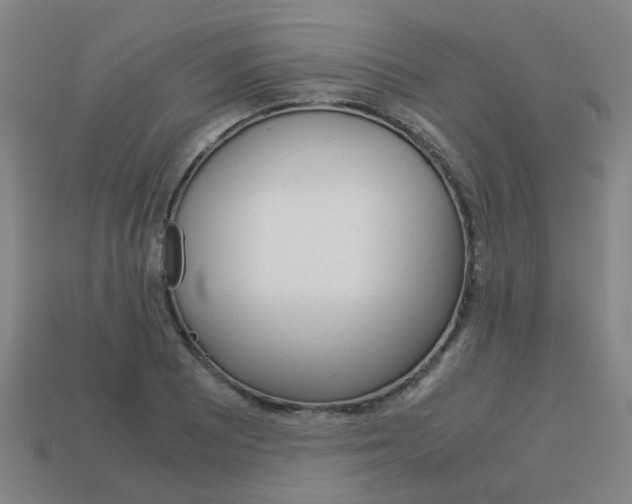 X0000114091081200910051205