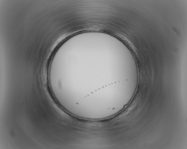X0000114091083200910051205