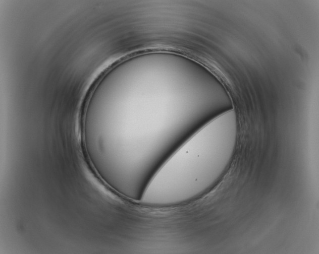 X0000114091084200910051205