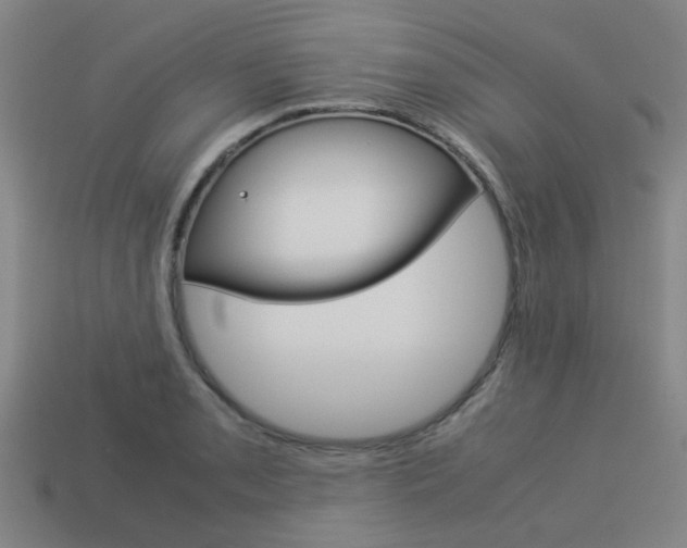 X0000114091085200910051205
