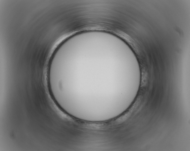 X0000114091086200910051205