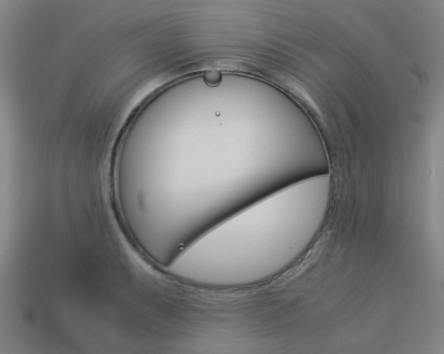 X0000114091087200910051205