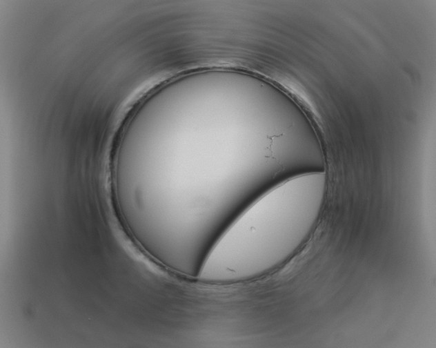 X0000114091088200910051205