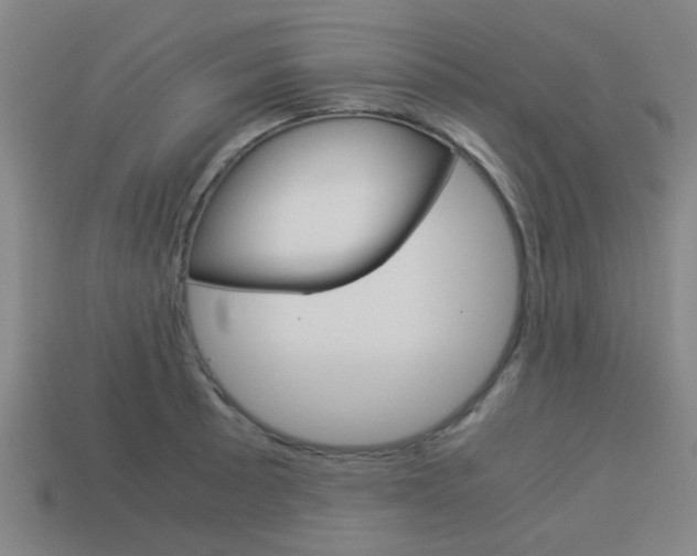 X0000114091089200910051205