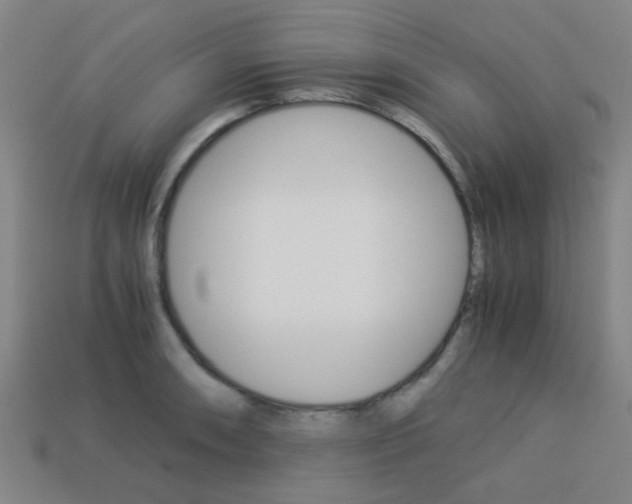 X0000114091090200910051205