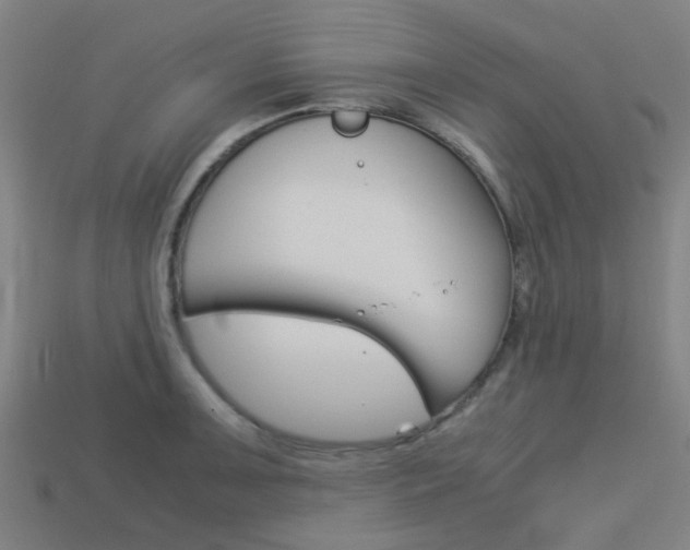 X0000114091091200910051205
