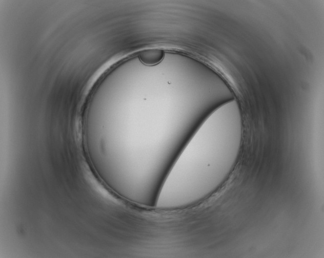 X0000114091092200910051205